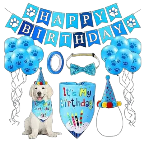 KIT DE CUMPLEAÑOS
